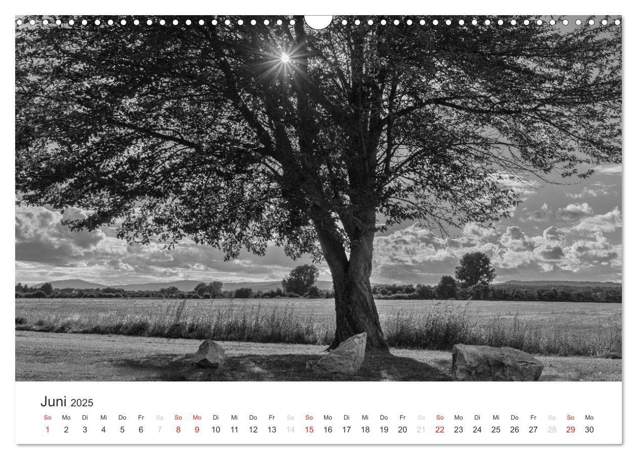 Bild: 9783435660469 | Bäume - Naturschönheiten in schwarz-weiß (Wandkalender 2025 DIN A3...