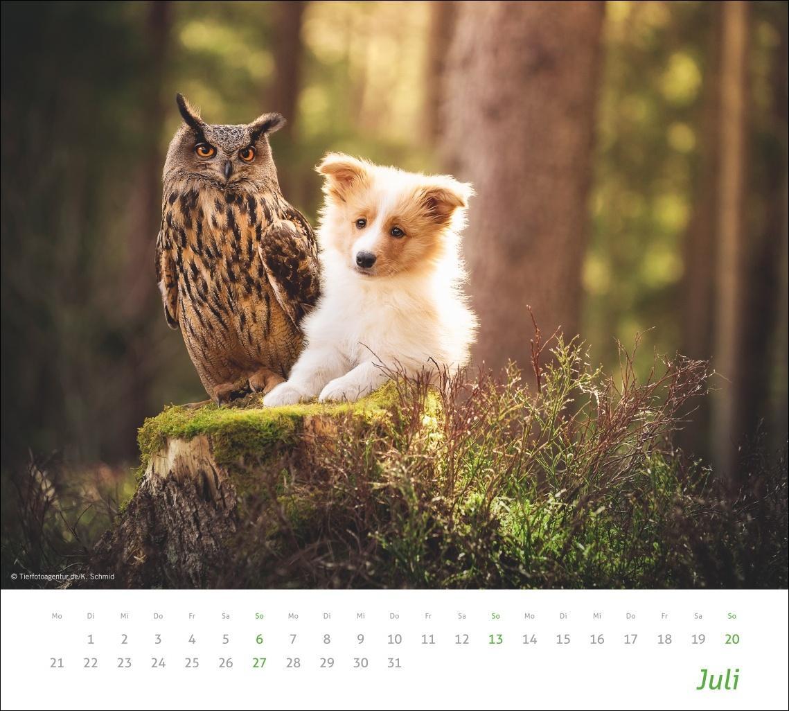 Bild: 9783756406906 | Echte Freunde Bildkalender 2025 | Heye | Kalender | Spiralbindung