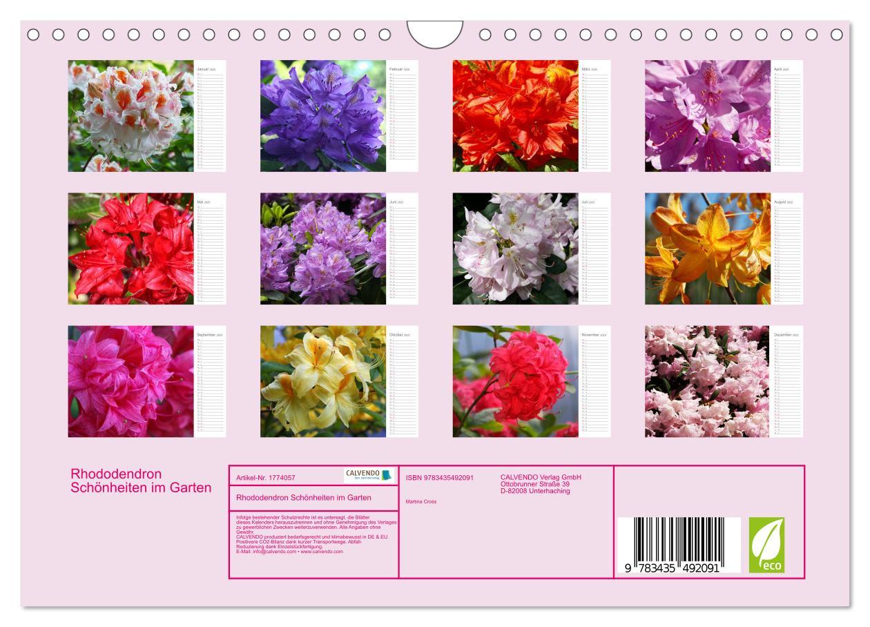 Bild: 9783435492091 | Rhododendron Schönheiten im Garten (Wandkalender 2025 DIN A4 quer),...