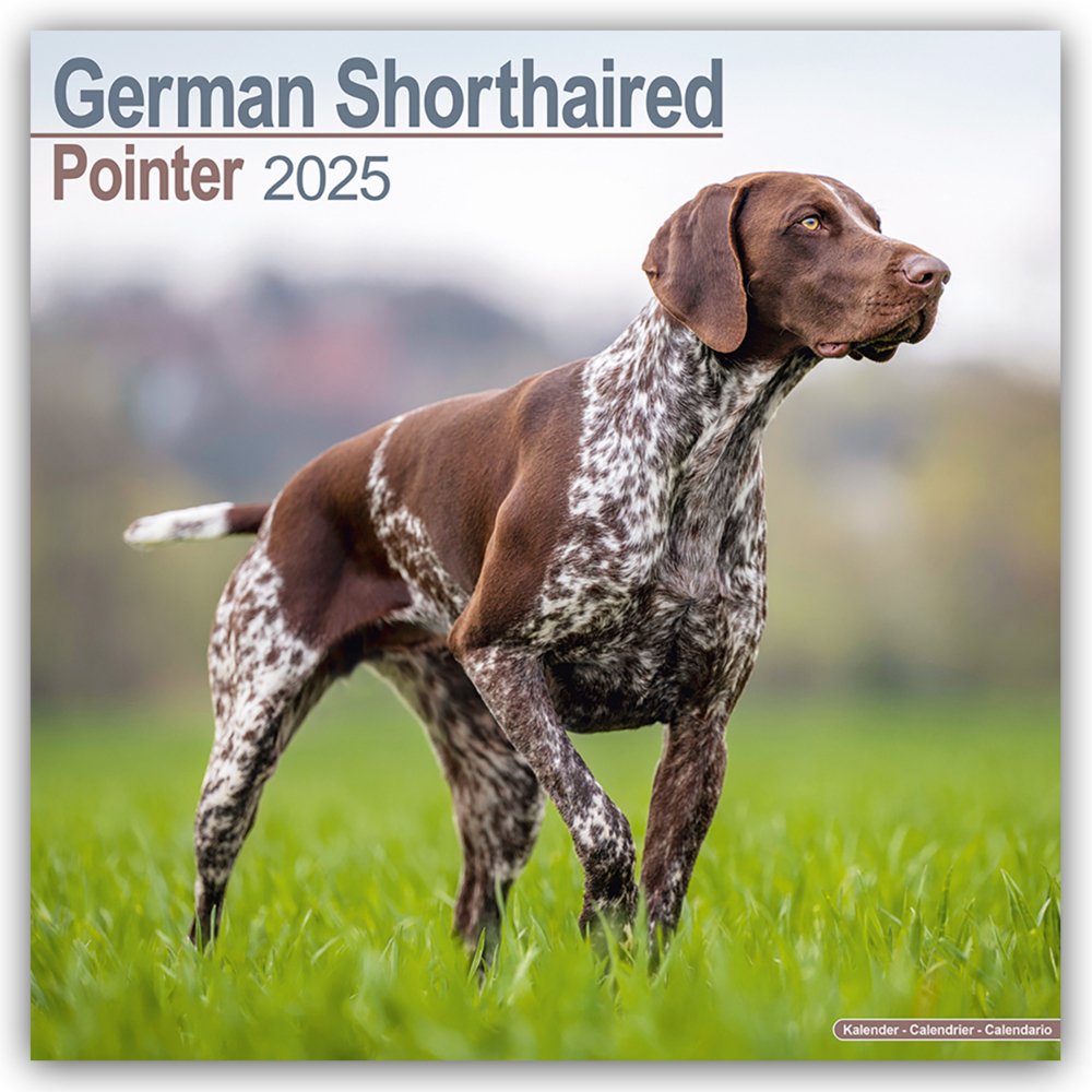 Cover: 9781804603482 | German Shorthaired Pointer - Deutsch Kurzhaar 2025 - 16-Monatskalender