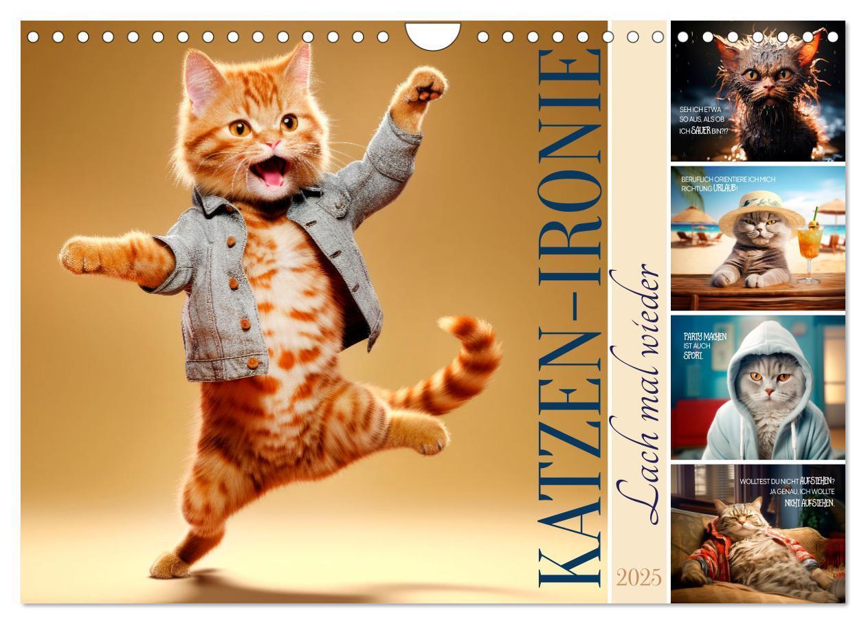 Cover: 9783383771910 | KATZEN-IRONIE Lach mal wieder (Wandkalender 2025 DIN A4 quer),...