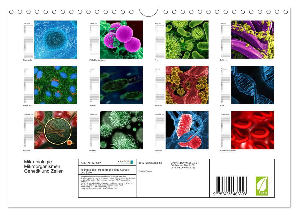 Bild: 9783435483808 | Mikrobiologie. Mikroorganismen, Genetik und Zellen (Wandkalender...