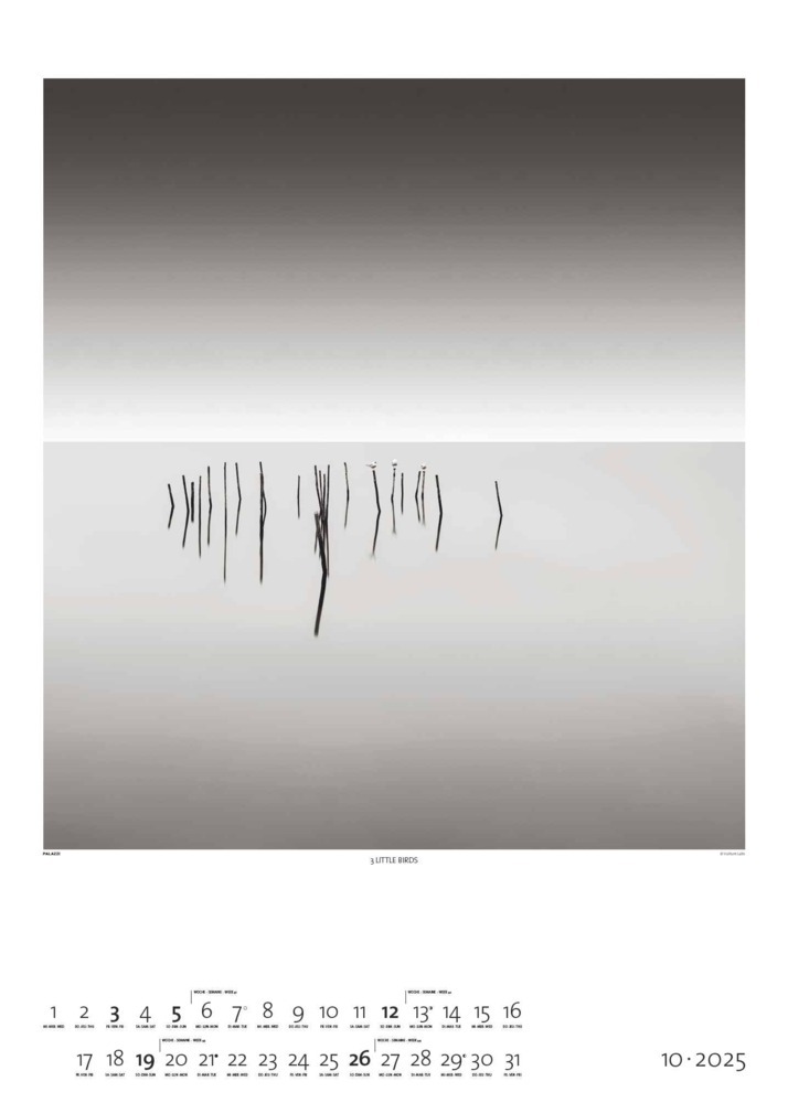 Bild: 4251734300676 | PALAZZI - Black &amp; White 2025 Wandkalender, 50x70cm, Posterkalender...