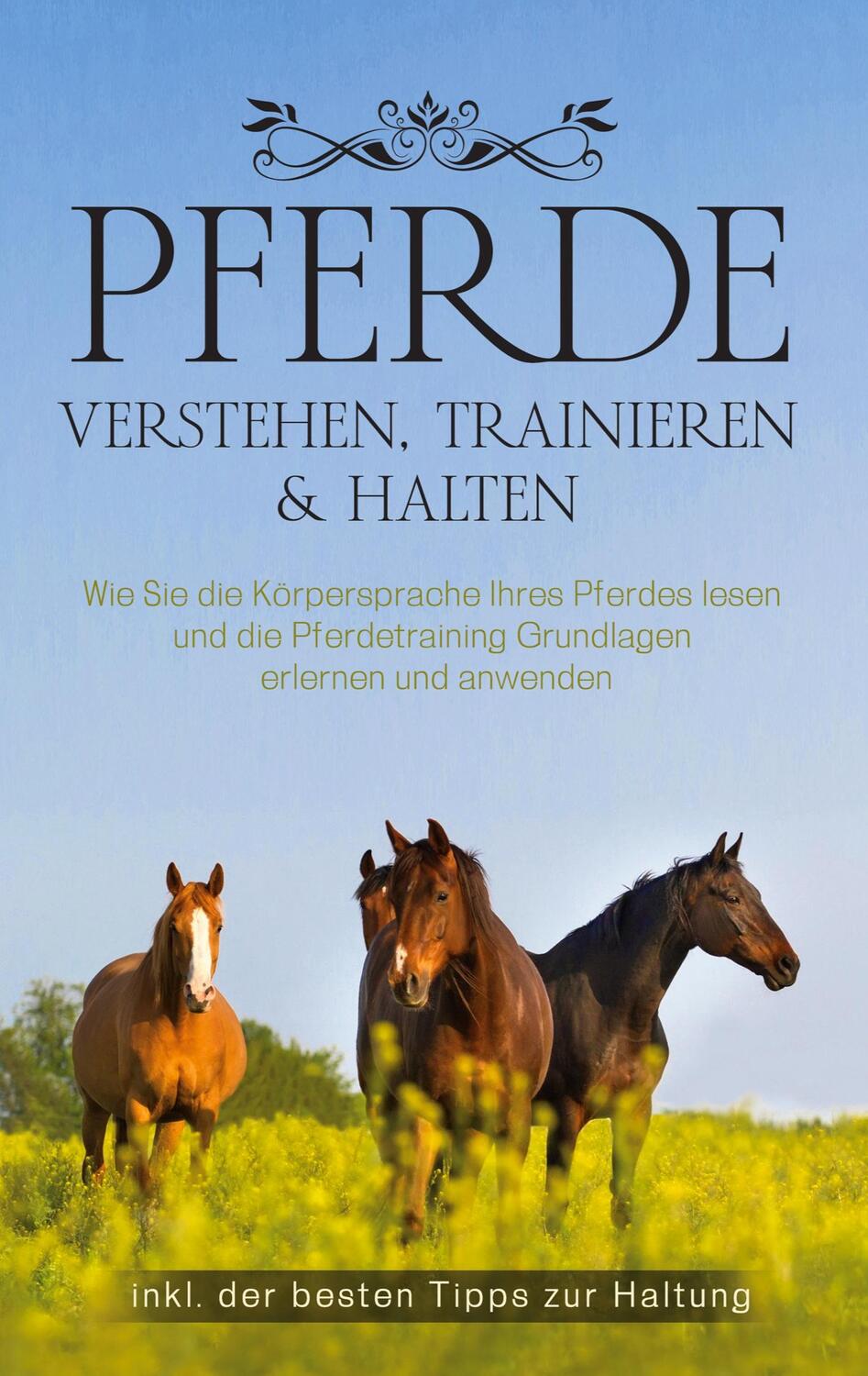 Cover: 9783756256518 | Pferde verstehen, trainieren &amp; halten | Carolin Stoer | Taschenbuch