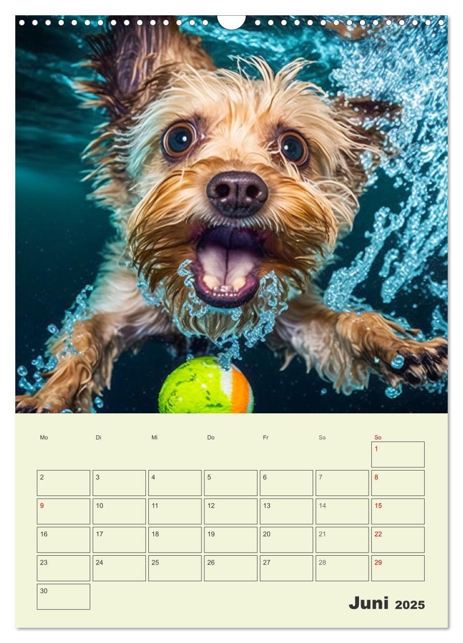 Bild: 9783435873715 | Yorkshire Terrier. Fröhliche Energiebündel in Aktion (Wandkalender...