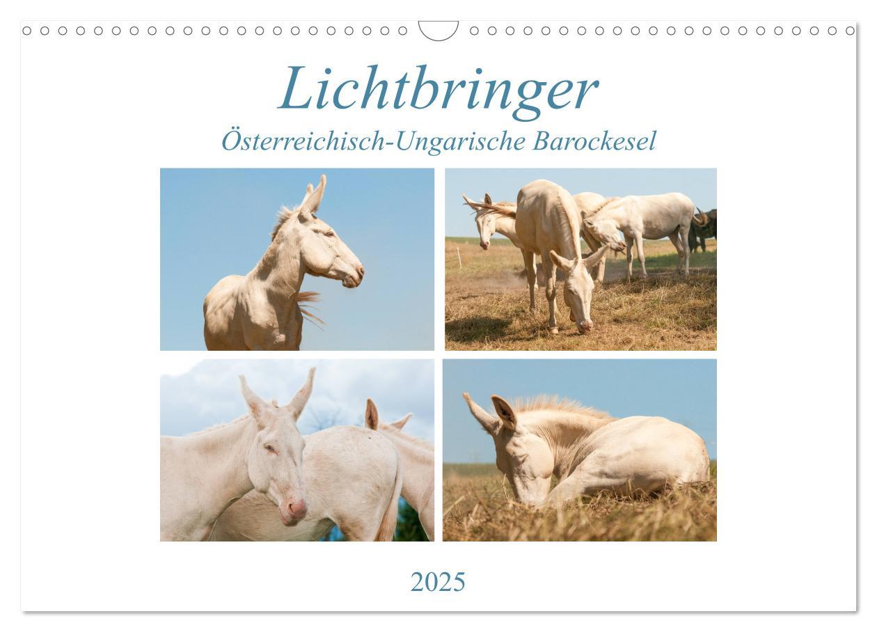 Cover: 9783435180578 | Lichtbringer - Österreichisch-Ungarische Barockesel (Wandkalender...