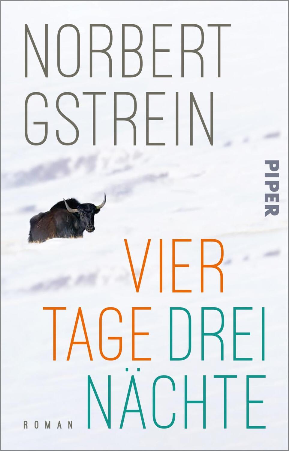 Cover: 9783492319713 | Vier Tage, drei Nächte | Ein Kammerspiel über Rassismus und Misogynie