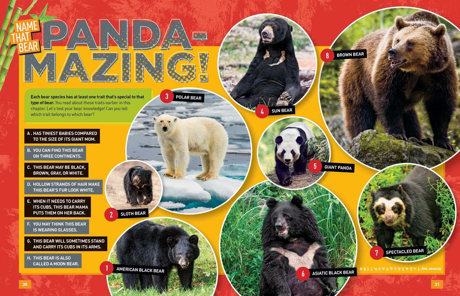 Bild: 9781426334313 | Absolute Expert: Pandas: All the Latest Facts from the Field with...