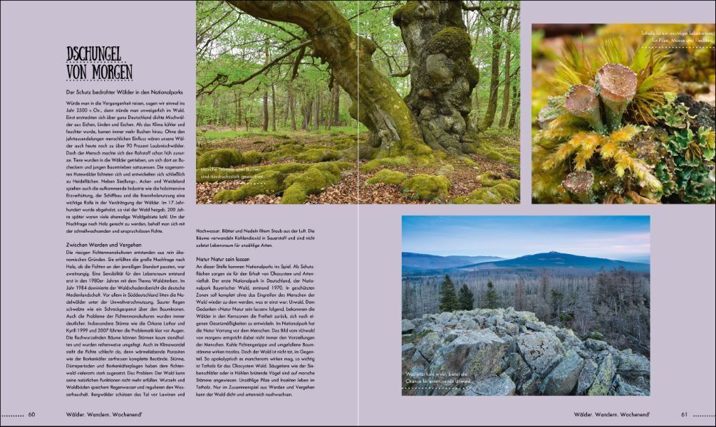 Bild: 9783734320255 | Wälder, Wandern, Wochenend' | Julia Schattauer | Taschenbuch | 168 S.