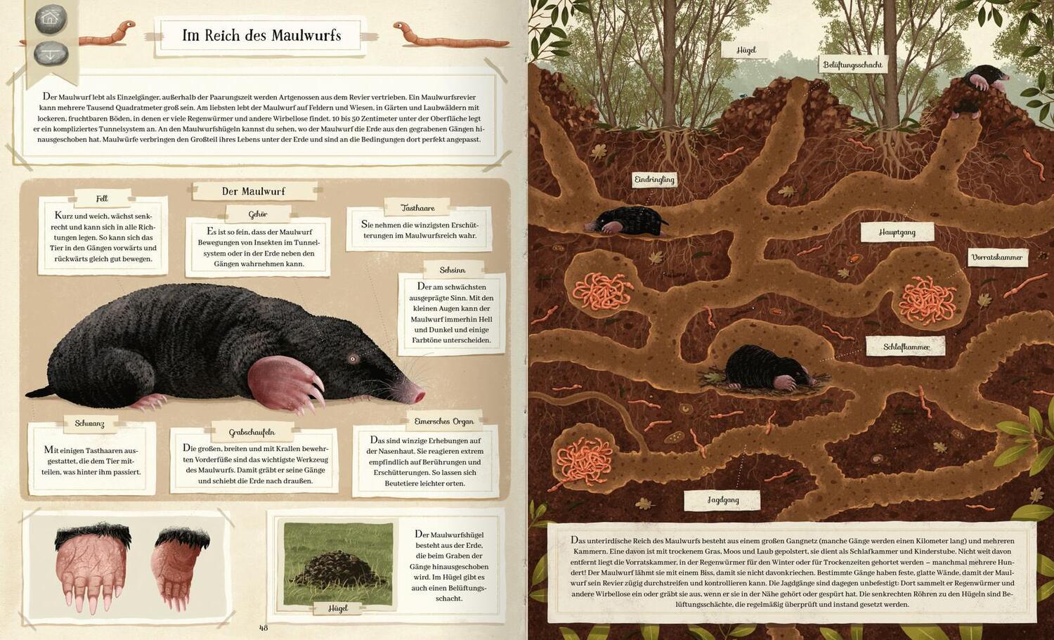 Bild: 9783845859217 | Tierisch gut gebaut - Von Nestern, Höhlen und anderen Tierwohnungen