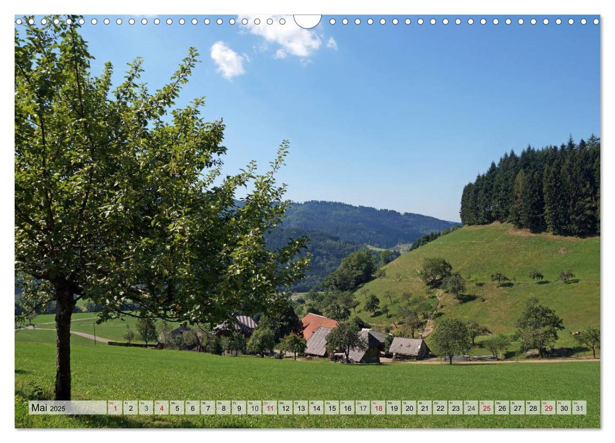 Bild: 9783435572861 | Glottertal im Schwarzwald (Wandkalender 2025 DIN A3 quer), CALVENDO...