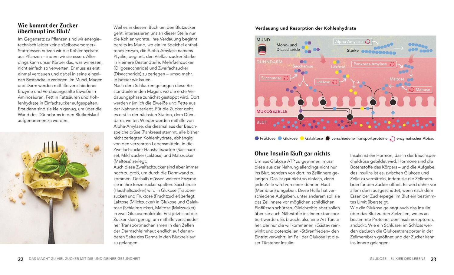 Bild: 9783833894473 | Glukose - Blutzucker runter, Gesundheit rauf | Petra Bracht | Buch