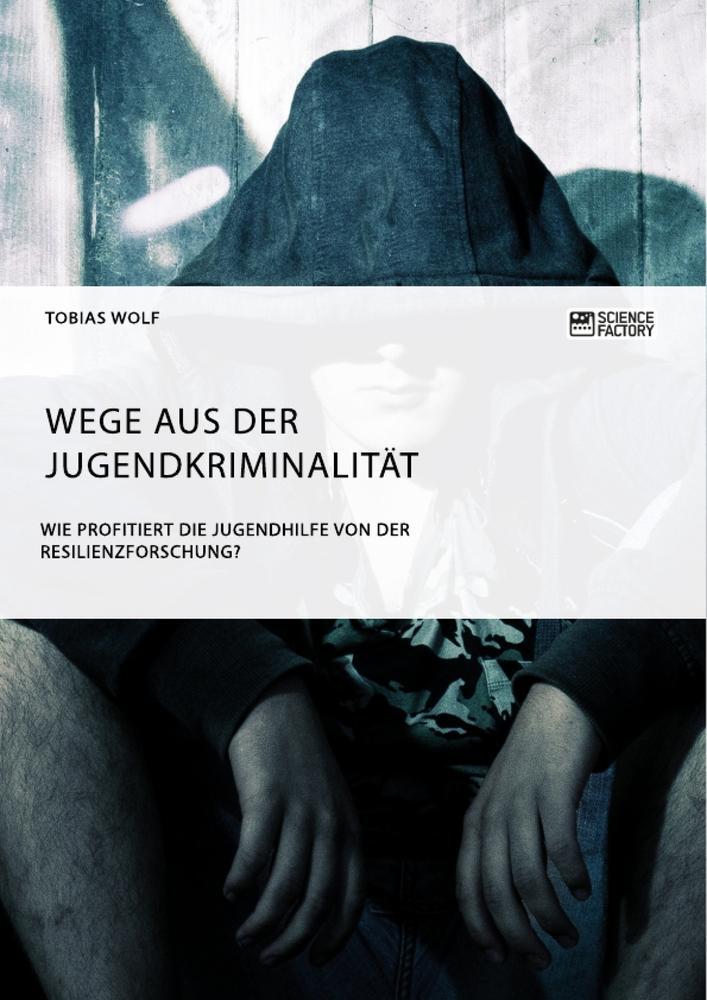 Cover: 9783956875731 | Wege aus der Jugendkriminalität. Wie profitiert die Jugendhilfe von...