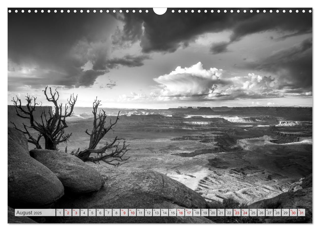 Bild: 9783383873331 | Monochrome Wonders (Wandkalender 2025 DIN A3 quer), CALVENDO...