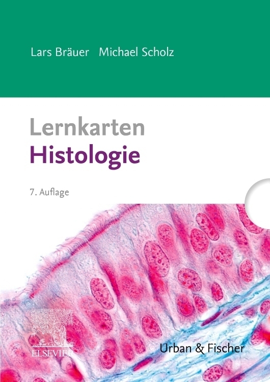 Cover: 9783437436246 | Lernkarten Histologie | Lars Bräuer (u. a.) | Box | Deutsch | 2020