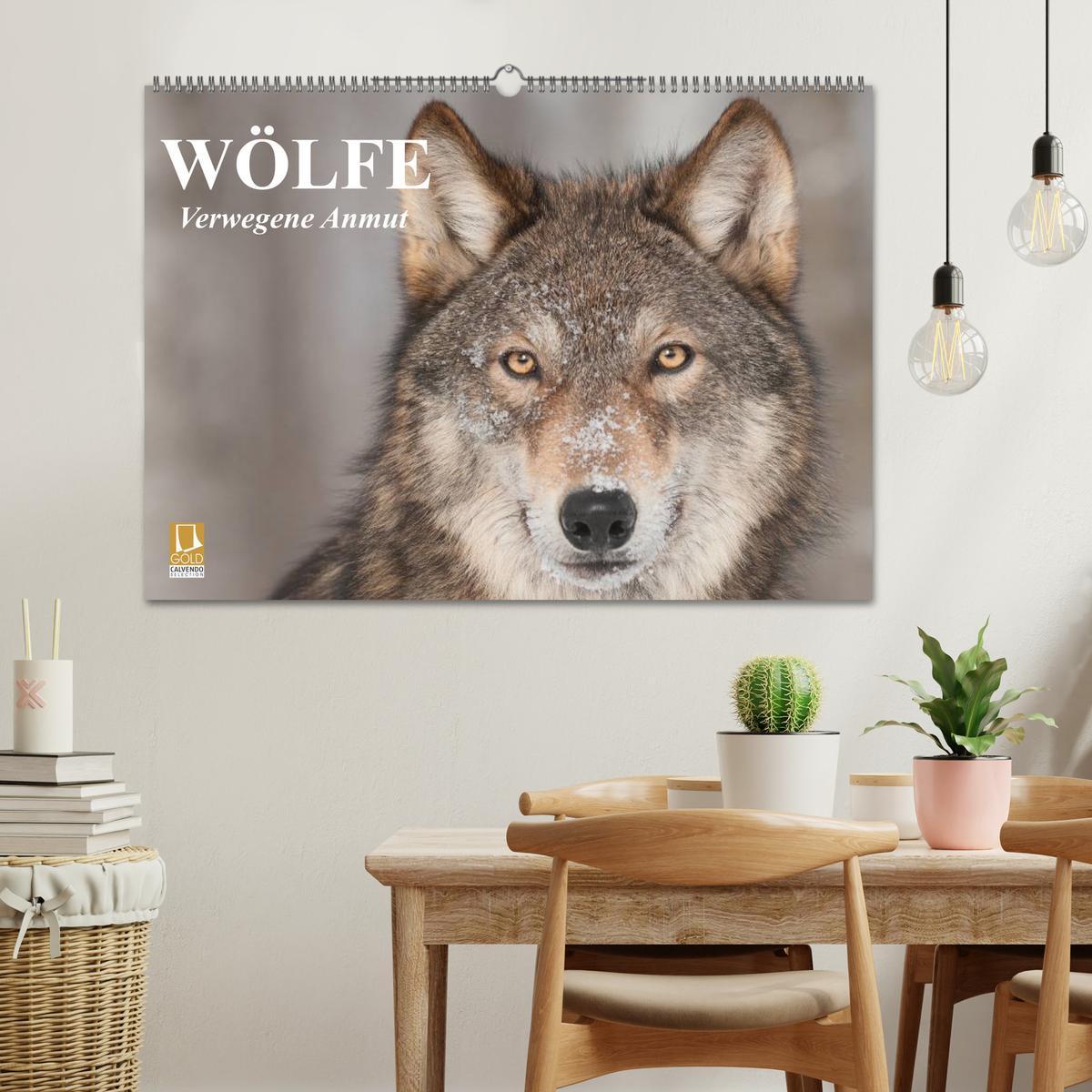 Bild: 9783435736270 | Wölfe. Verwegene Anmut (Wandkalender 2025 DIN A2 quer), CALVENDO...