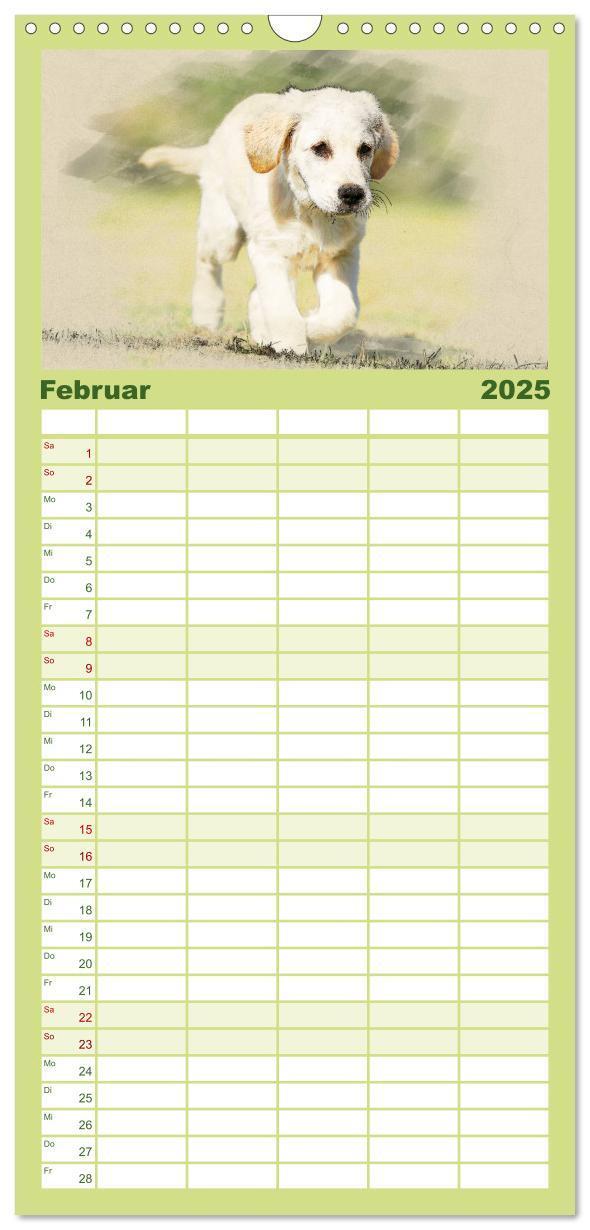 Bild: 9783457117880 | Familienplaner 2025 - Golden Retriever mit 5 Spalten (Wandkalender,...