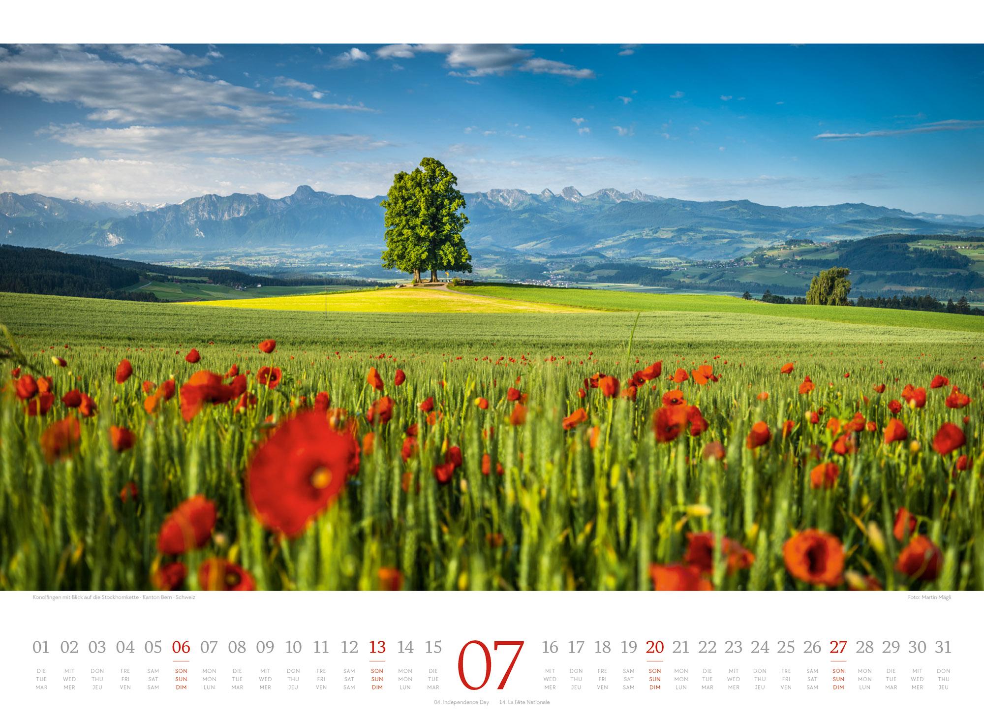 Bild: 9783838425801 | Harmonie Kalender 2025 | Ackermann Kunstverlag | Kalender | 14 S.