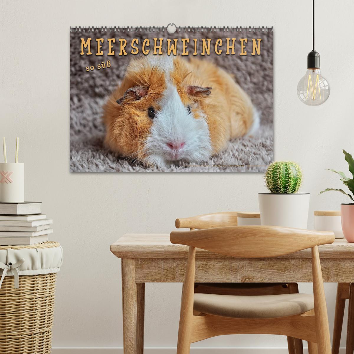 Bild: 9783435364930 | Meerschweinchen - so süß (Wandkalender 2025 DIN A3 quer), CALVENDO...