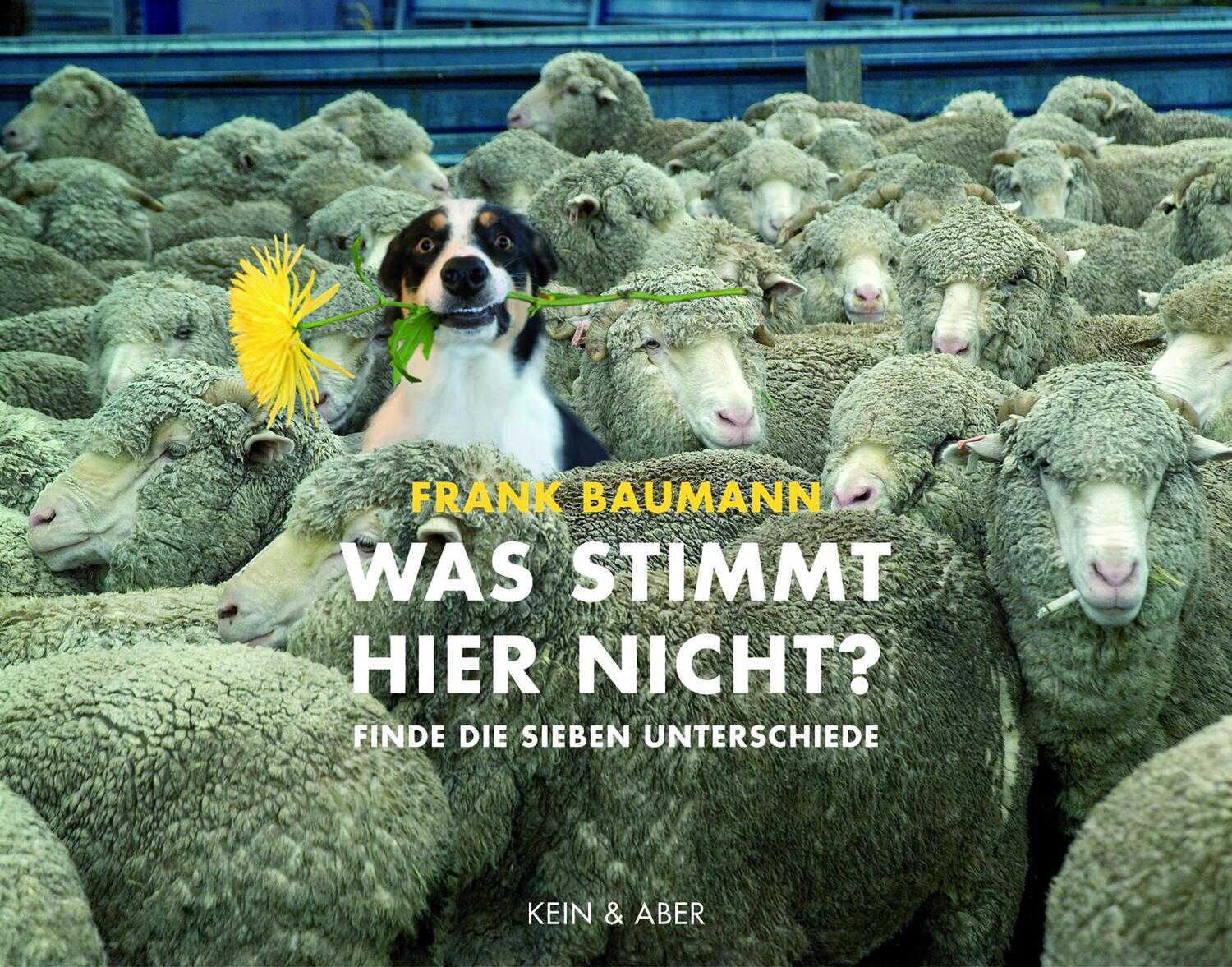 Cover: 9783036958170 | Was stimmt hier nicht? | Finde die sieben Unterschiede | Frank Baumann