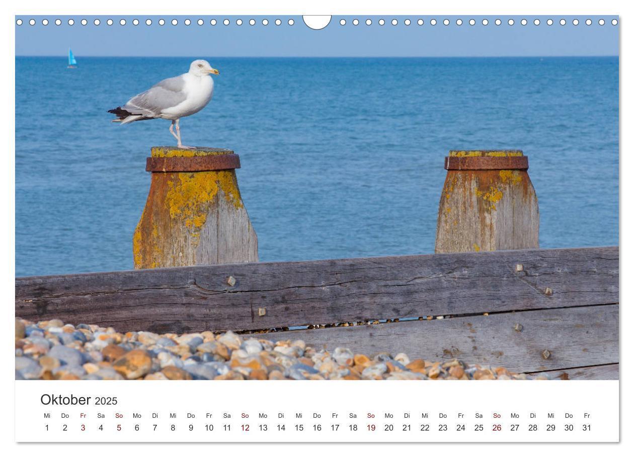 Bild: 9783435340064 | Eastbourne an Englands Südküste (Wandkalender 2025 DIN A3 quer),...