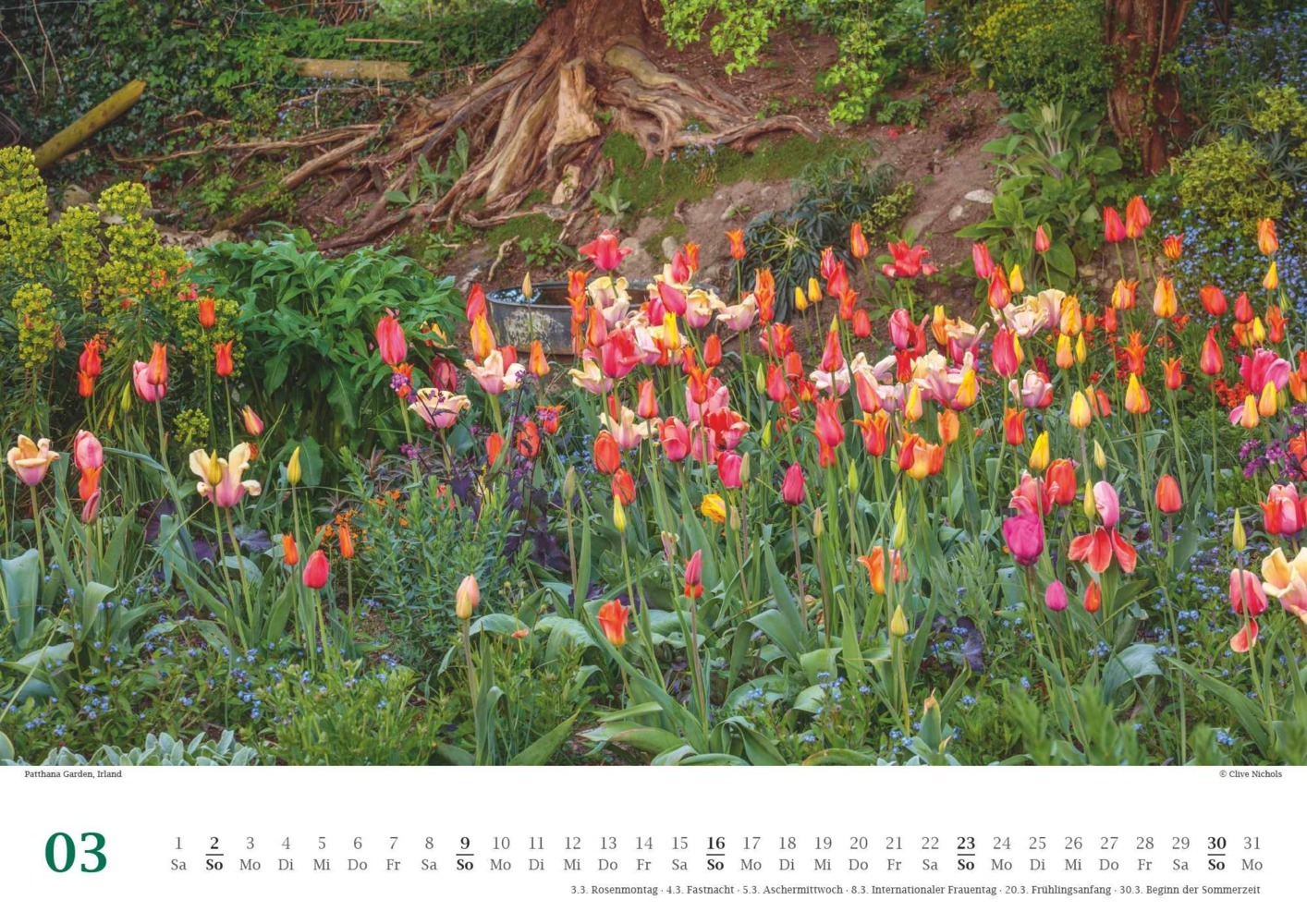 Bild: 4250809653617 | DUMONT - Traumhafte Gartenbeete 2025 Wandkalender, 42x29,7cm,...