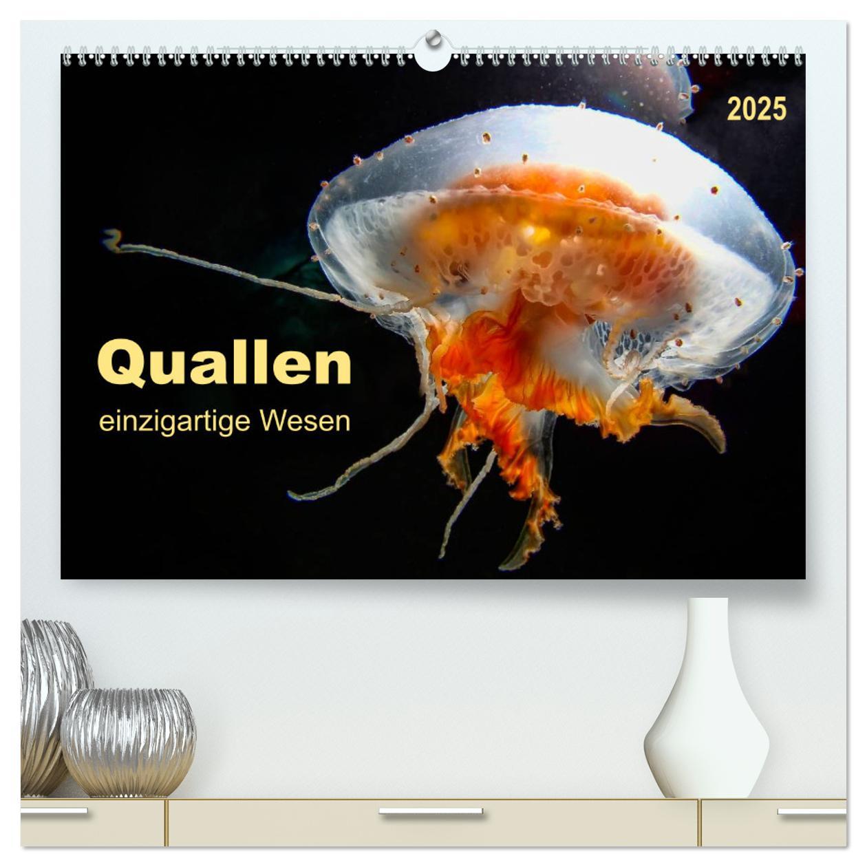 Cover: 9783435580712 | Quallen - einzigartige Wesen (hochwertiger Premium Wandkalender...