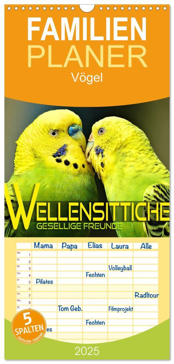 Cover: 9783457098028 | Familienplaner 2025 - Wellensittiche - gesellige Freunde mit 5...