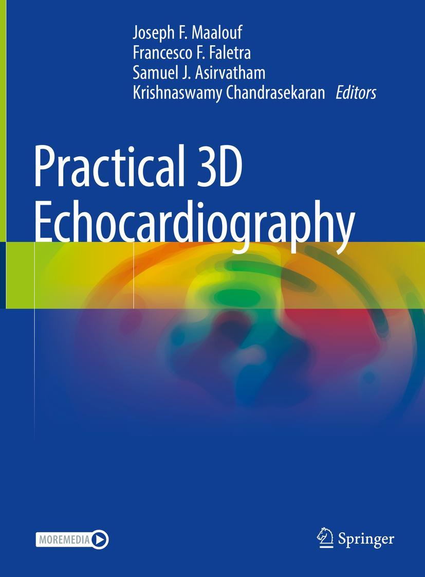 Cover: 9783030729400 | Practical 3D Echocardiography | Joseph F. Maalouf (u. a.) | Buch | xii