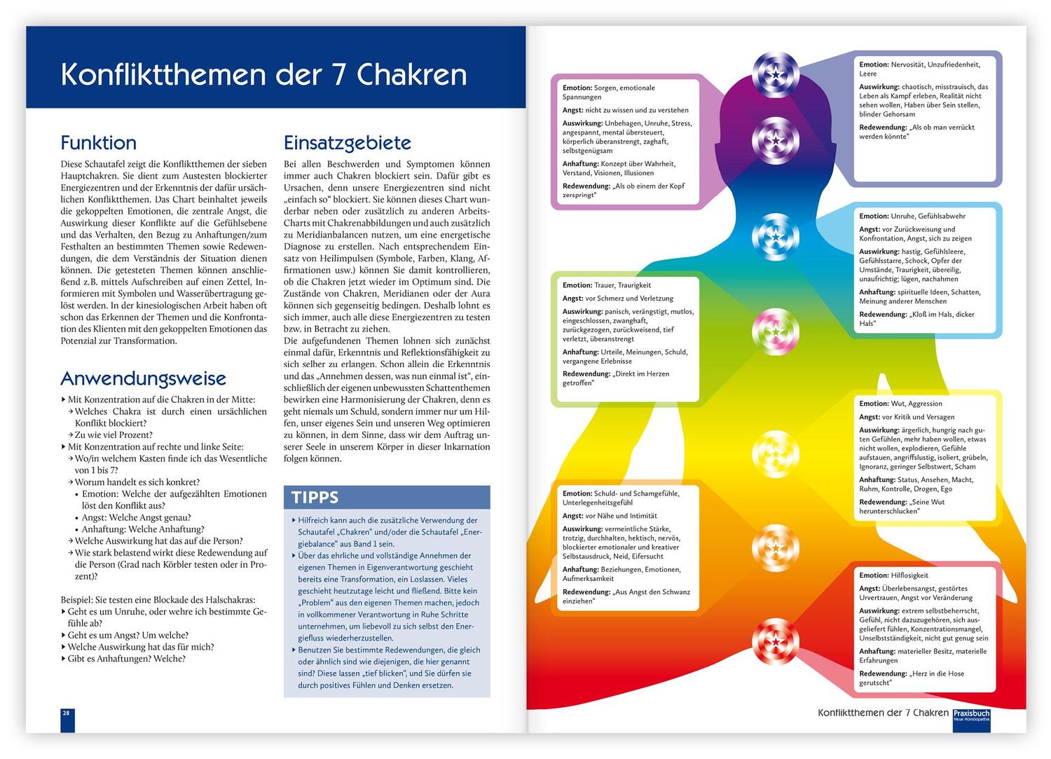 Bild: 9783863747213 | Praxisbuch Neue Homöopathie. Band 2 | Christina Baumann (u. a.) | Buch