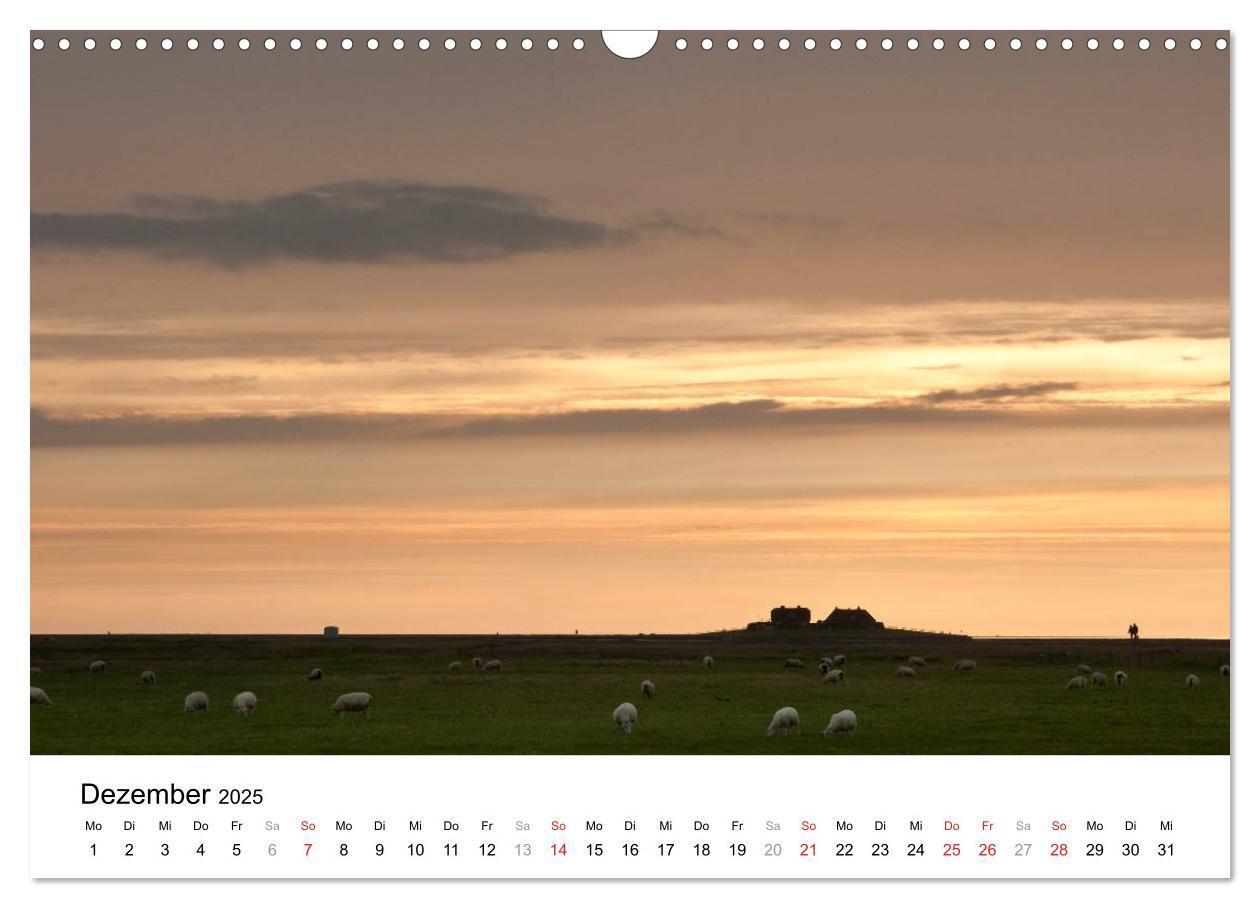 Bild: 9783435570010 | Hallig Hooge - zwischen Himmel und Erde (Wandkalender 2025 DIN A3...