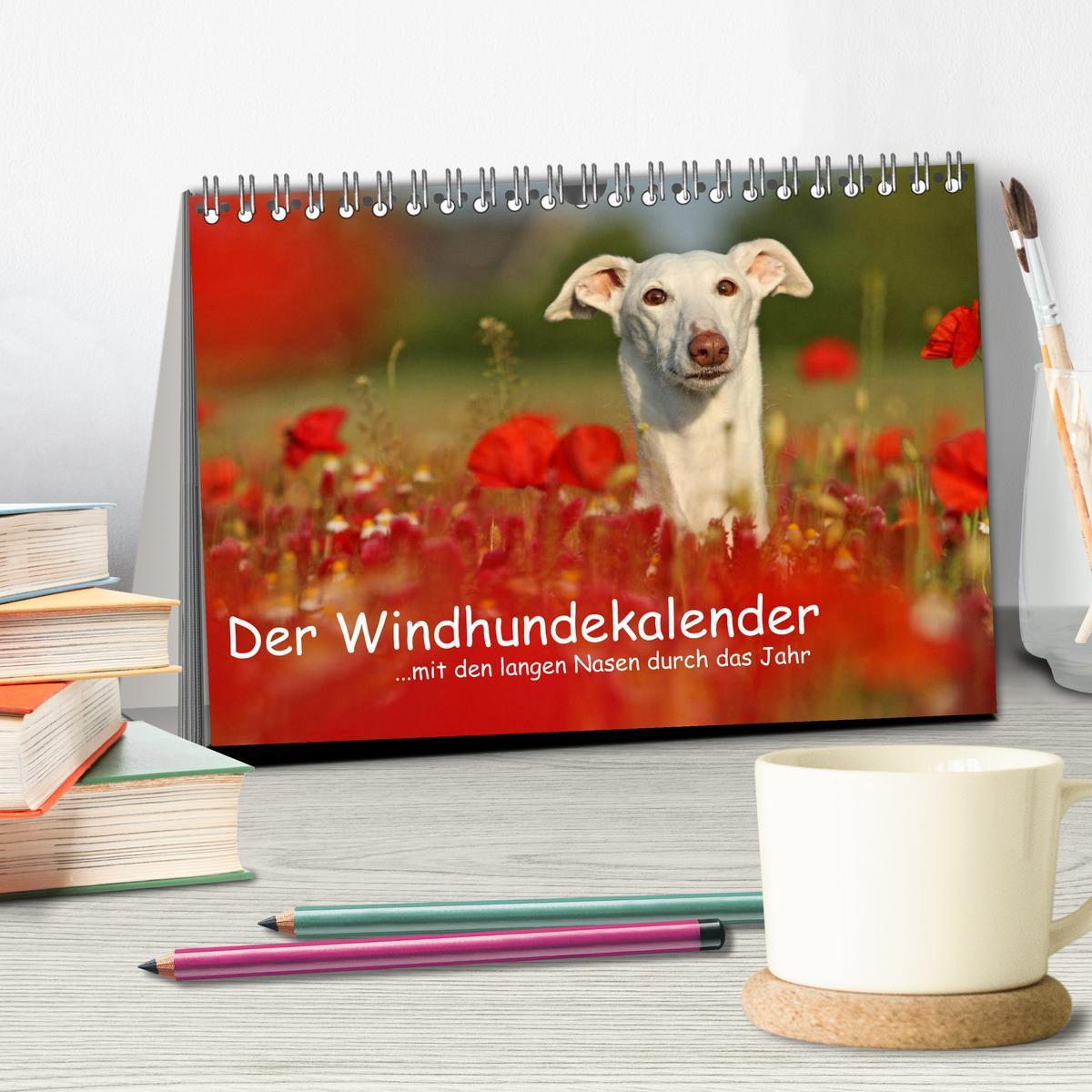 Bild: 9783435773718 | Der Windhundekalender (Tischkalender 2025 DIN A5 quer), CALVENDO...