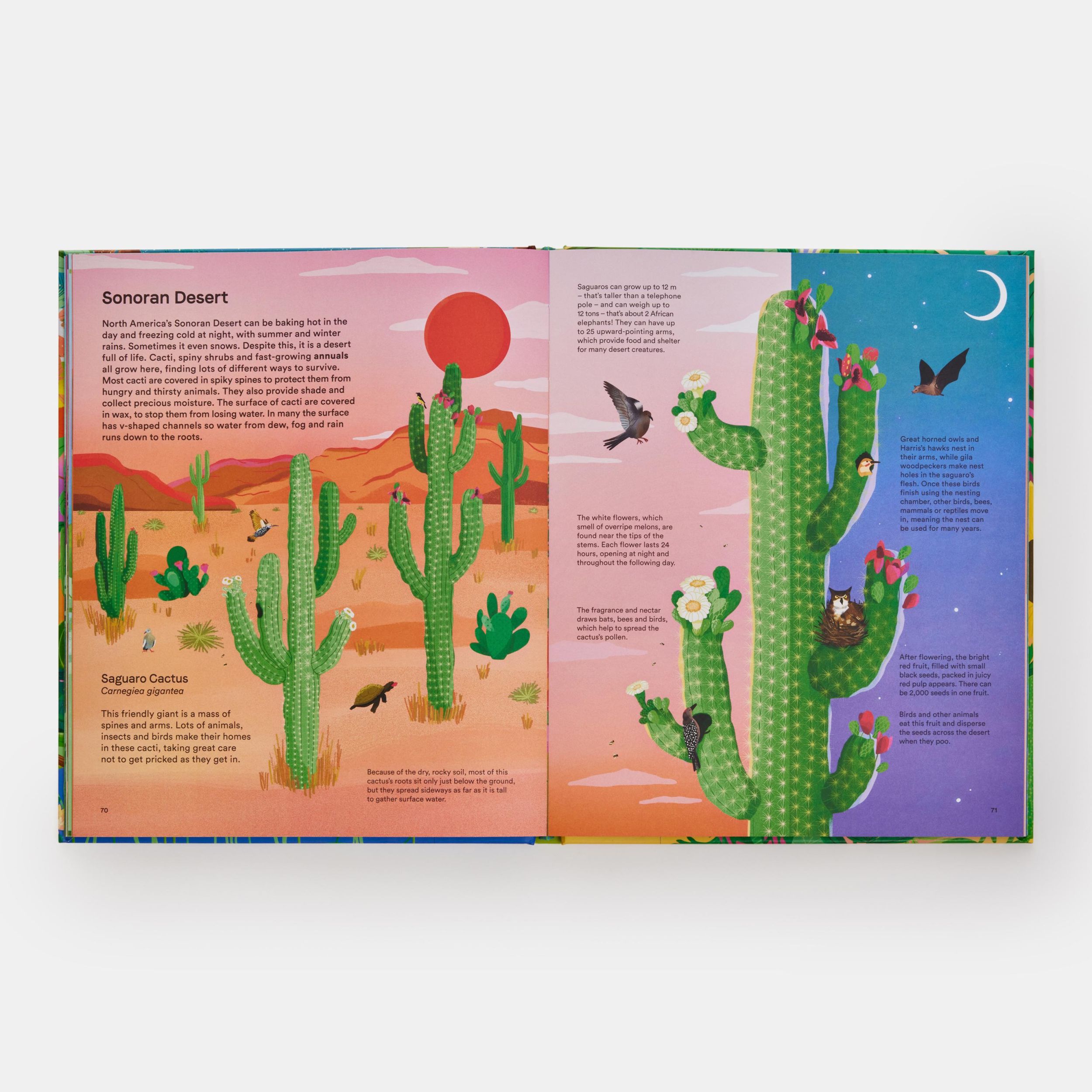 Bild: 9781838665937 | A Home for Every Plant | Wonders of the Botanical World | Biggs | Buch