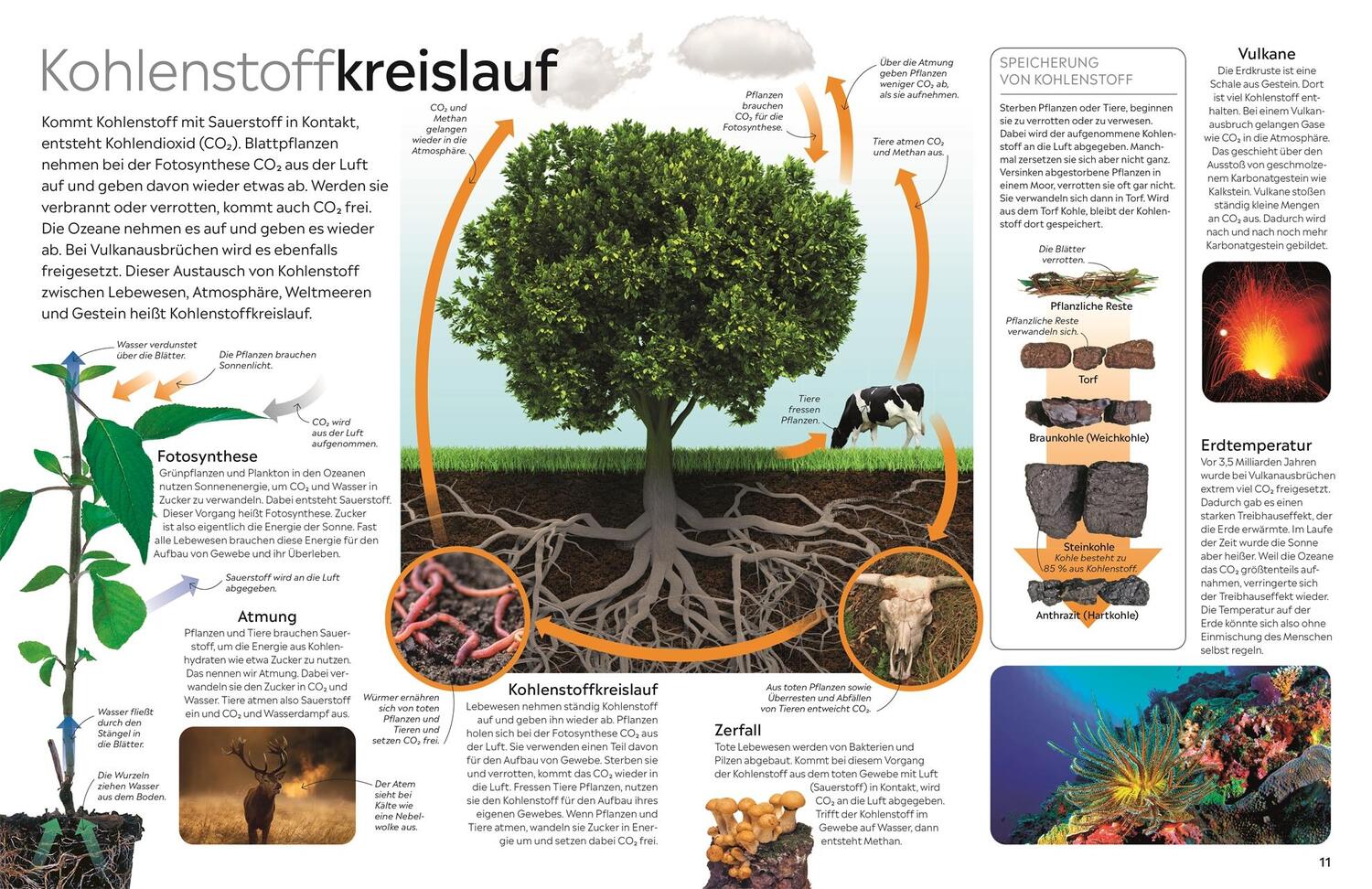 Bild: 9783831049011 | memo Wissen. Klimawandel | John Woodward | Buch | 72 S. | Deutsch