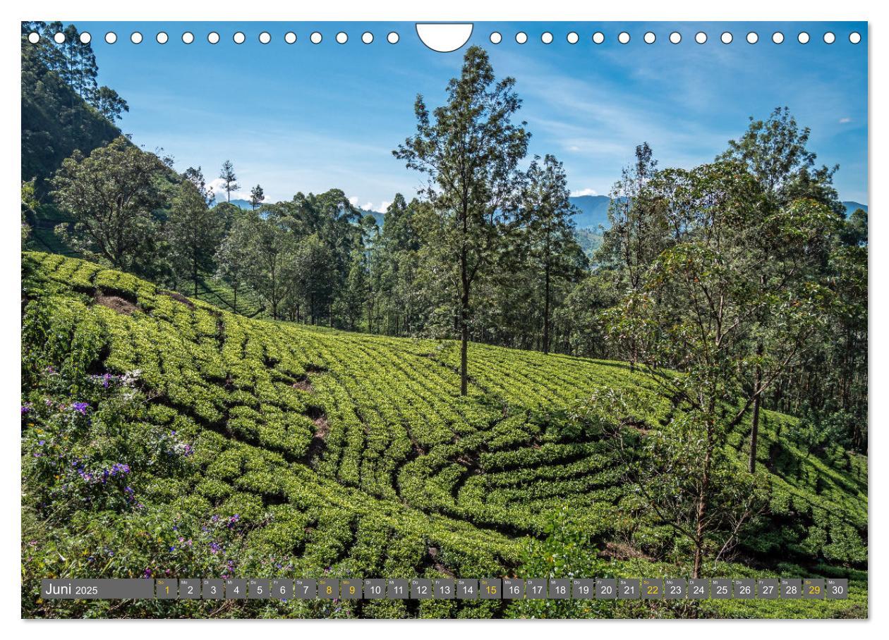 Bild: 9783383964251 | Sri Lanka - landschaftliche Vielfalt (Wandkalender 2025 DIN A4...