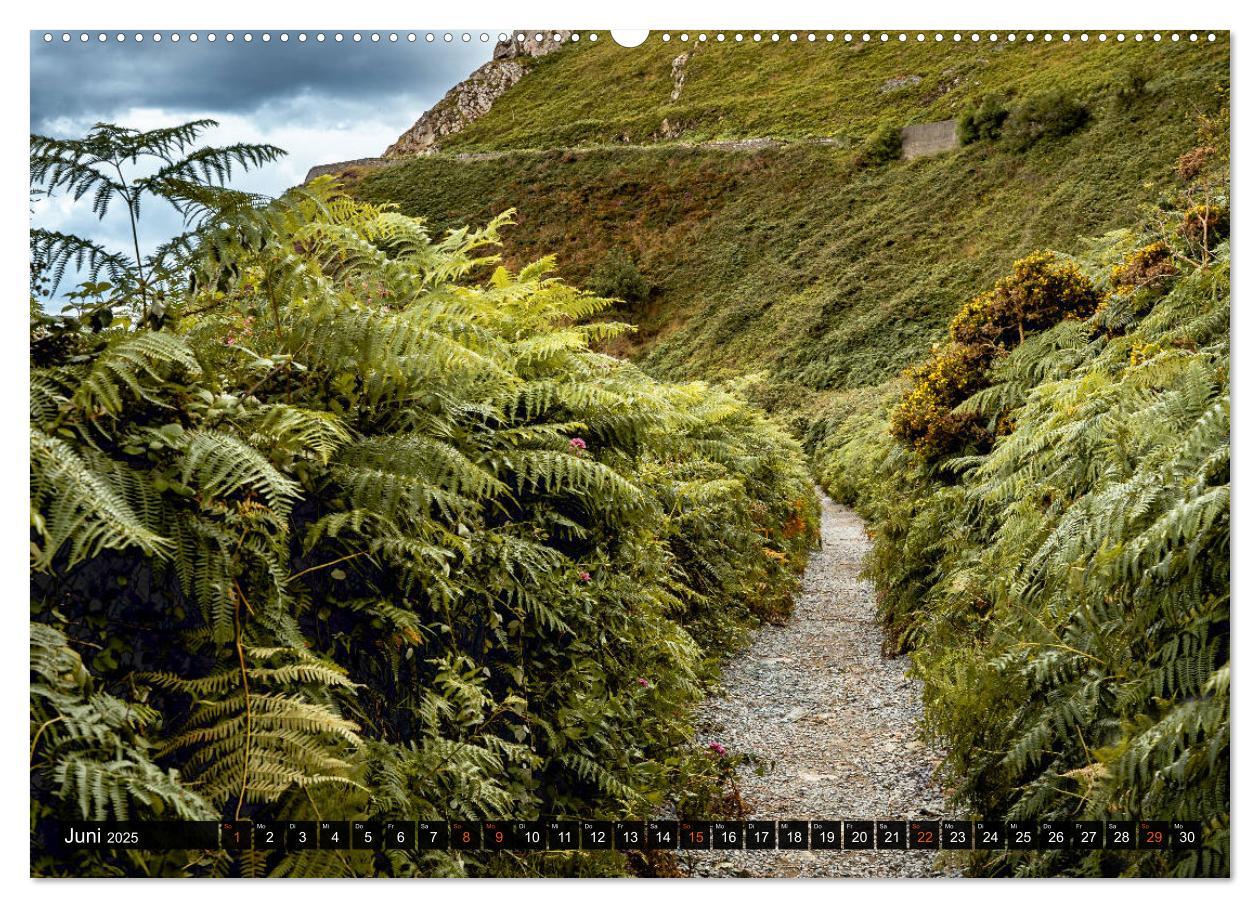 Bild: 9783435158065 | Irland-Liebe (Wandkalender 2025 DIN A2 quer), CALVENDO Monatskalender