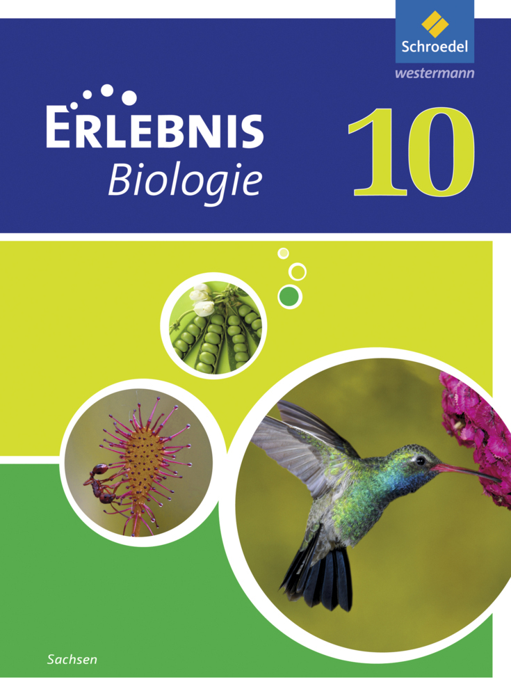 Cover: 9783507776104 | Erlebnis Biologie - Ausgabe 2012 für Sachsen | Schulbuch 10 | Buch