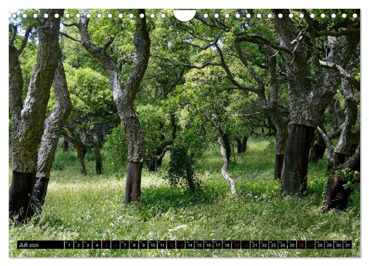 Bild: 9783435454198 | Sardinien - Der Norden (Wandkalender 2025 DIN A4 quer), CALVENDO...