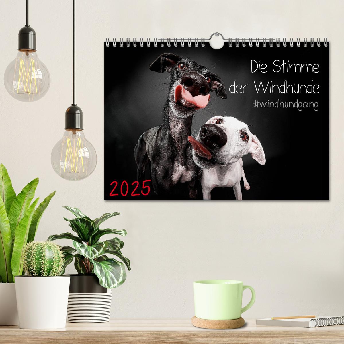 Bild: 9783435228911 | Die Stimme der Windhunde (Wandkalender 2025 DIN A4 quer), CALVENDO...