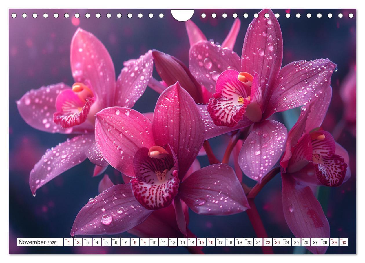 Bild: 9783457165089 | Orchideen - farbenfroh durchs Jahr (Wandkalender 2025 DIN A4 quer),...