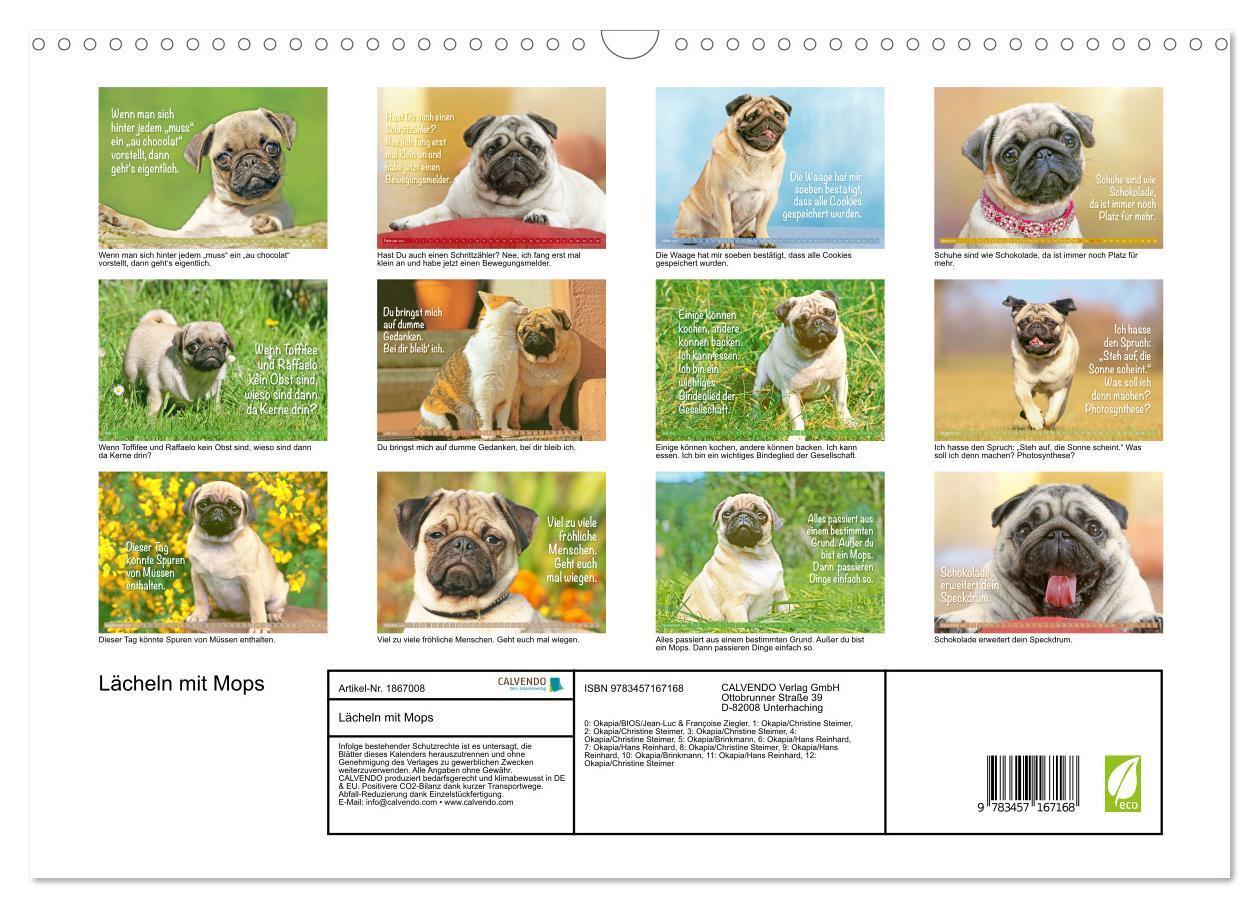 Bild: 9783457167168 | Lächeln mit Mops (Wandkalender 2025 DIN A3 quer), CALVENDO...