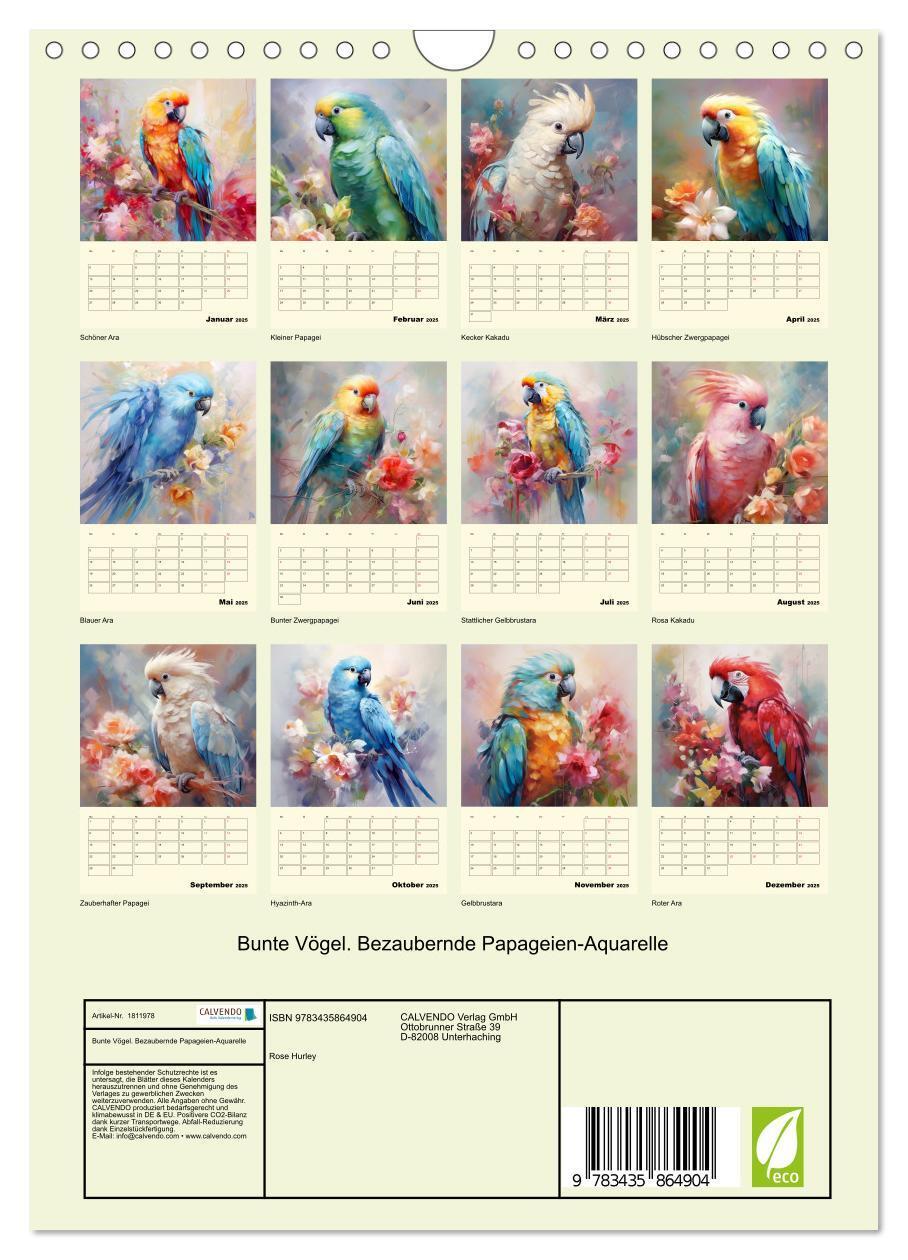 Bild: 9783435864904 | Bunte Vögel. Bezaubernde Papageien-Aquarelle (Wandkalender 2025 DIN...