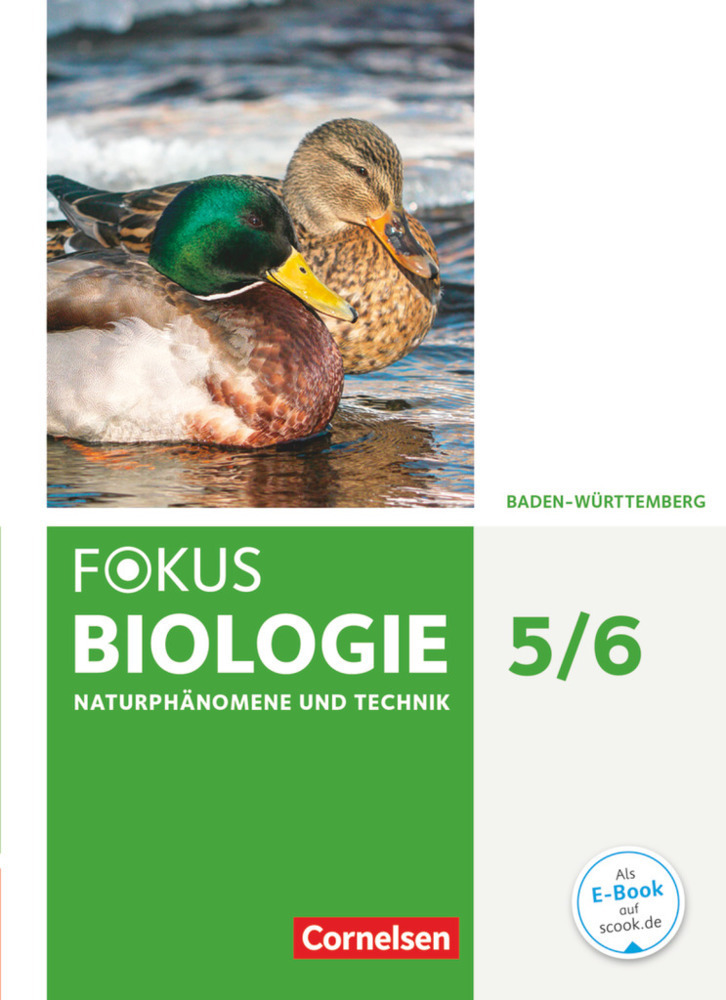 Cover: 9783060136131 | Fokus Biologie - Neubearbeitung - Baden-Württemberg - 5./6....