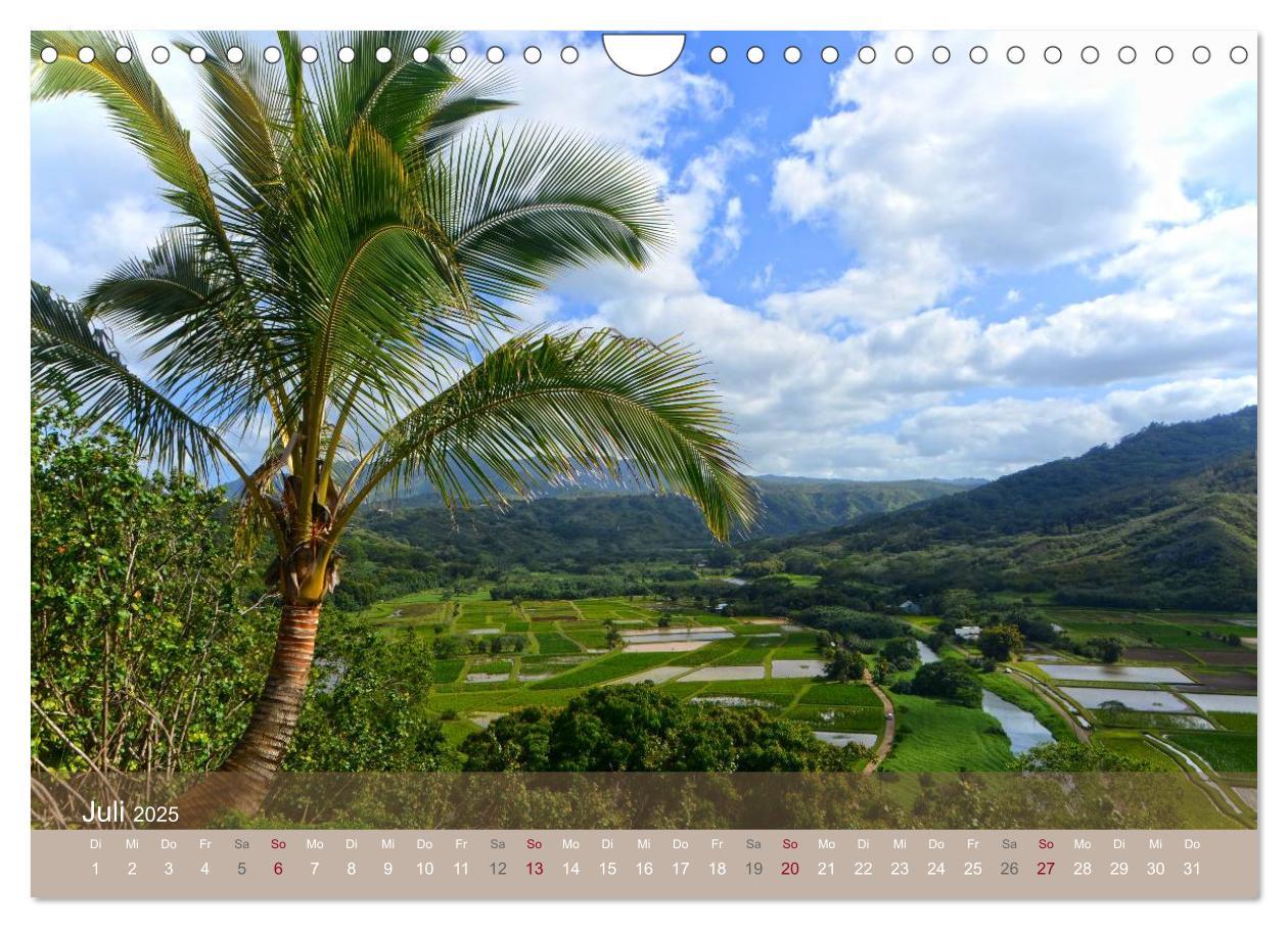 Bild: 9783435800186 | Aloha aus Hawaii (Wandkalender 2025 DIN A4 quer), CALVENDO...