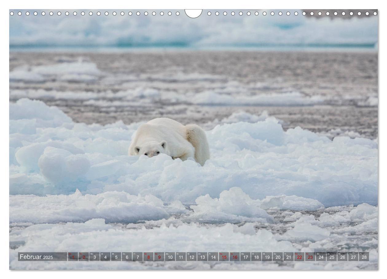 Bild: 9783435304950 | Svalbard-Momente (Wandkalender 2025 DIN A3 quer), CALVENDO...