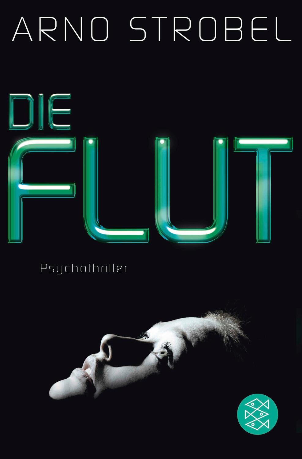 Cover: 9783596198351 | Die Flut | Arno Strobel | Taschenbuch | 361 S. | Deutsch | 2016