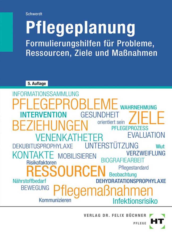 Cover: 9783582317544 | Pflegeplanung | Christine Schwerdt | Taschenbuch | 320 S. | Deutsch