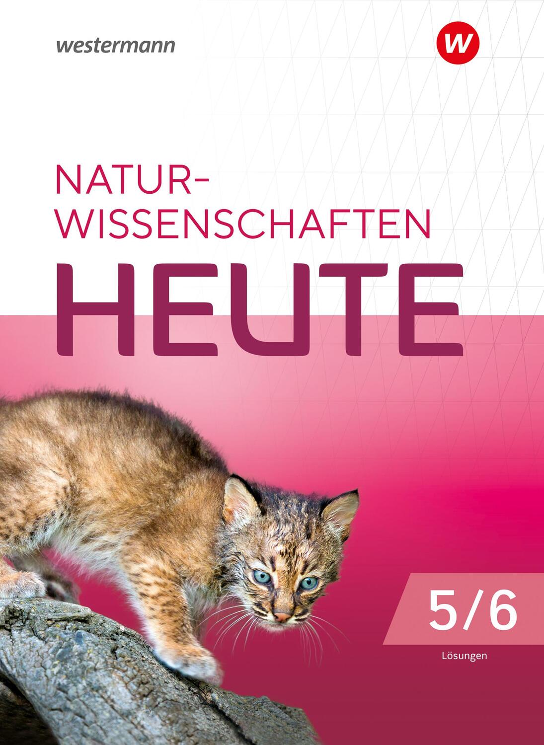 Cover: 9783141519839 | Naturwissenschaften heute 5/6. Lösungen. Für die Grundschule in...