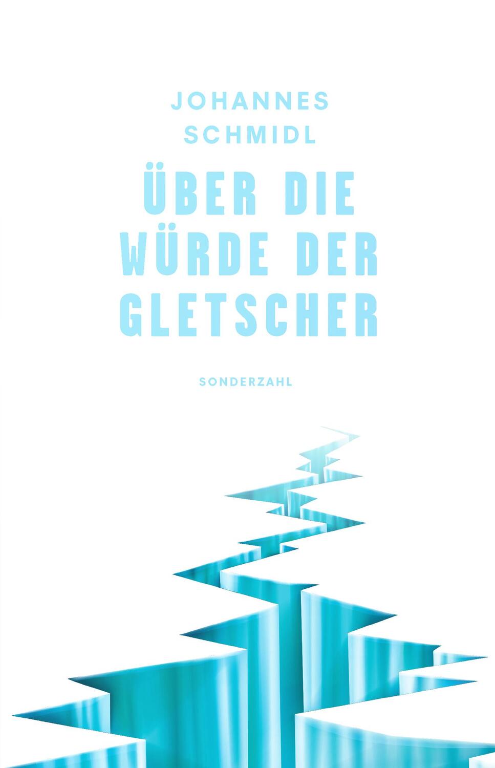 Cover: 9783854496656 | Über die Würde der Gletscher | Johannes Schmidl | Taschenbuch | 2024