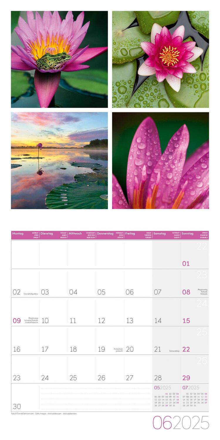 Bild: 9783838445014 | Colours of Nature Kalender 2025 - 30x30 | Ackermann Kunstverlag | 2025